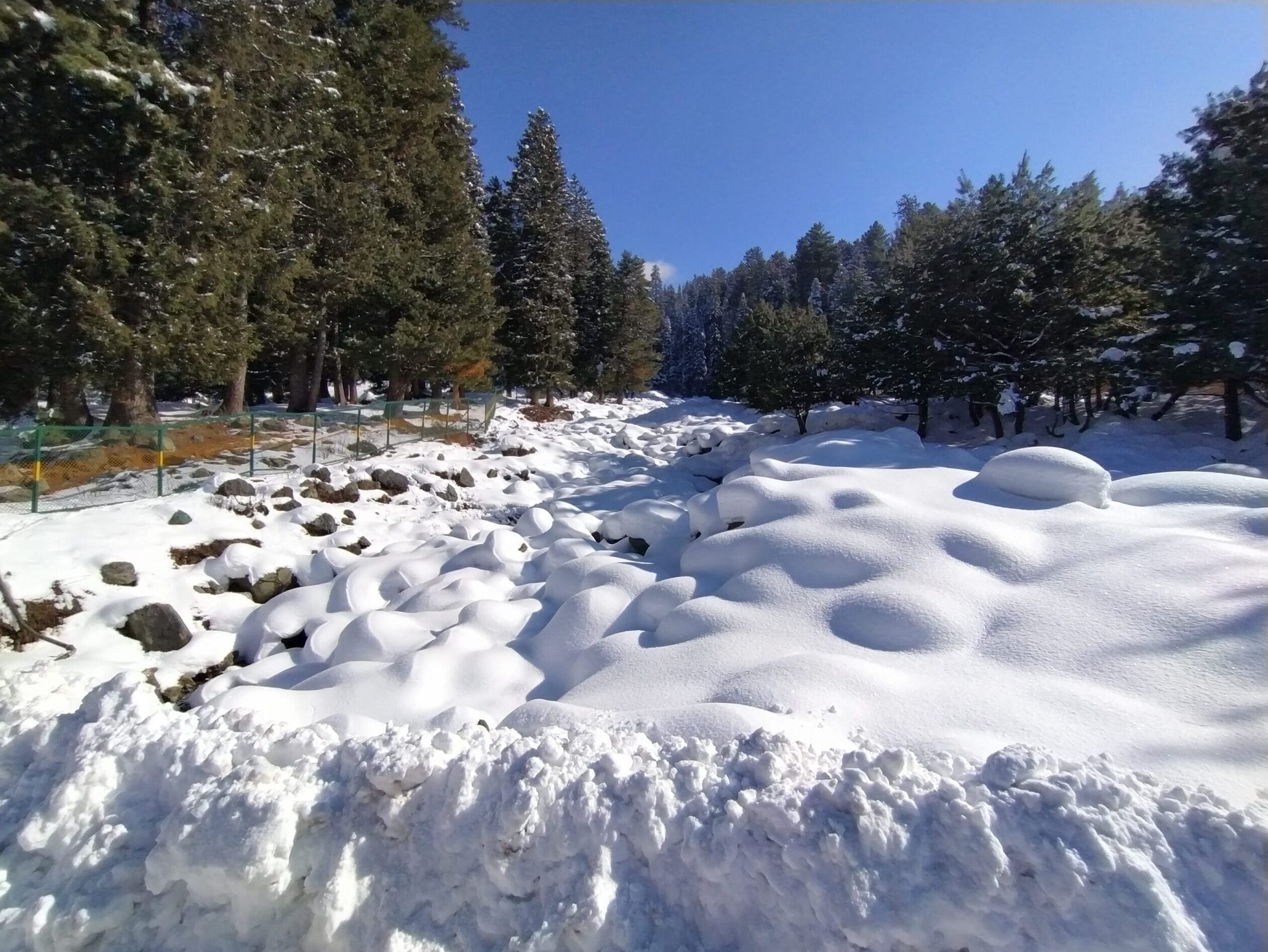 Visiting Pahalgam is a must in any Kashmir Itinerary