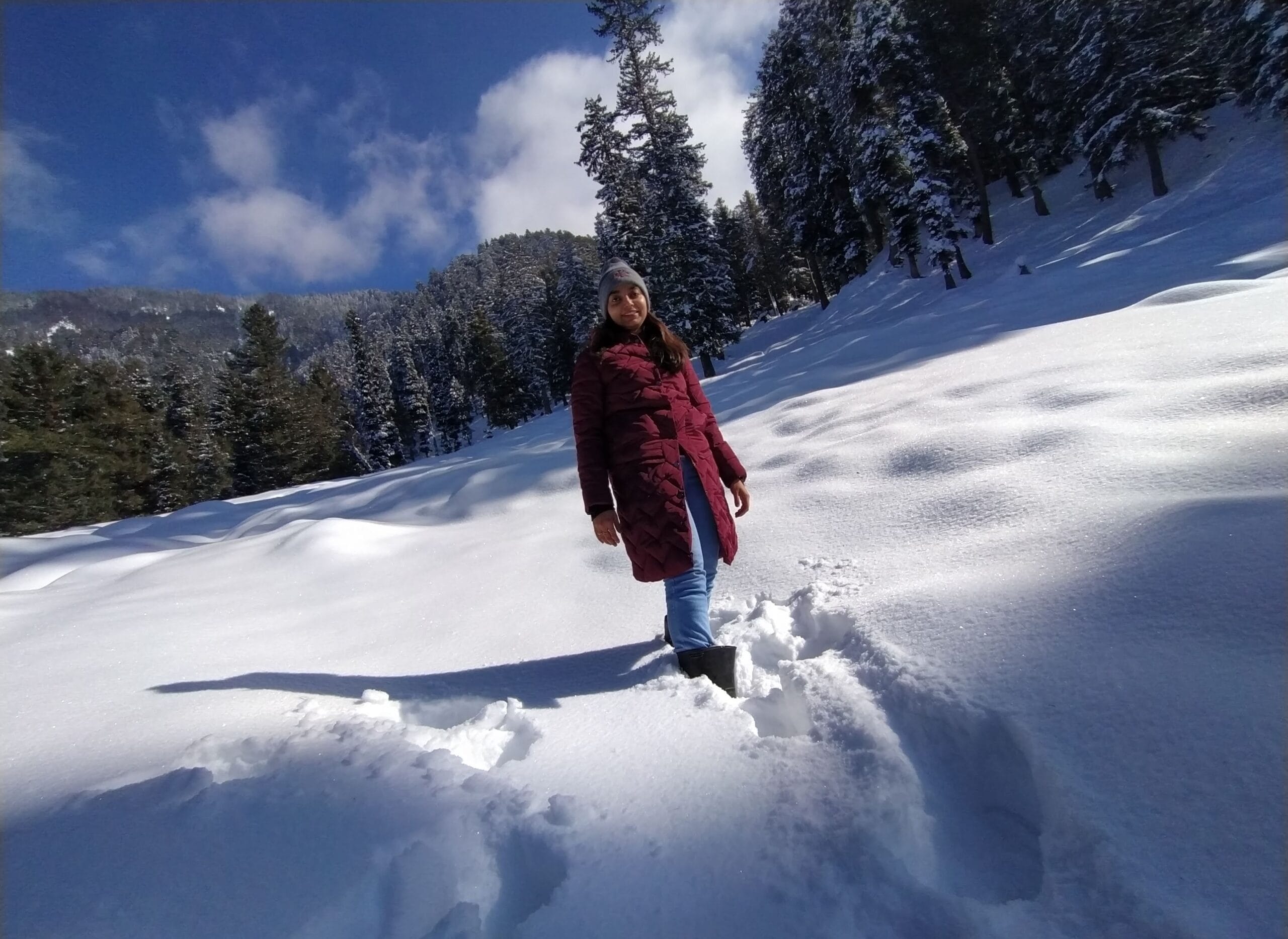 Snowfall in Aru Valley in Pahalgam