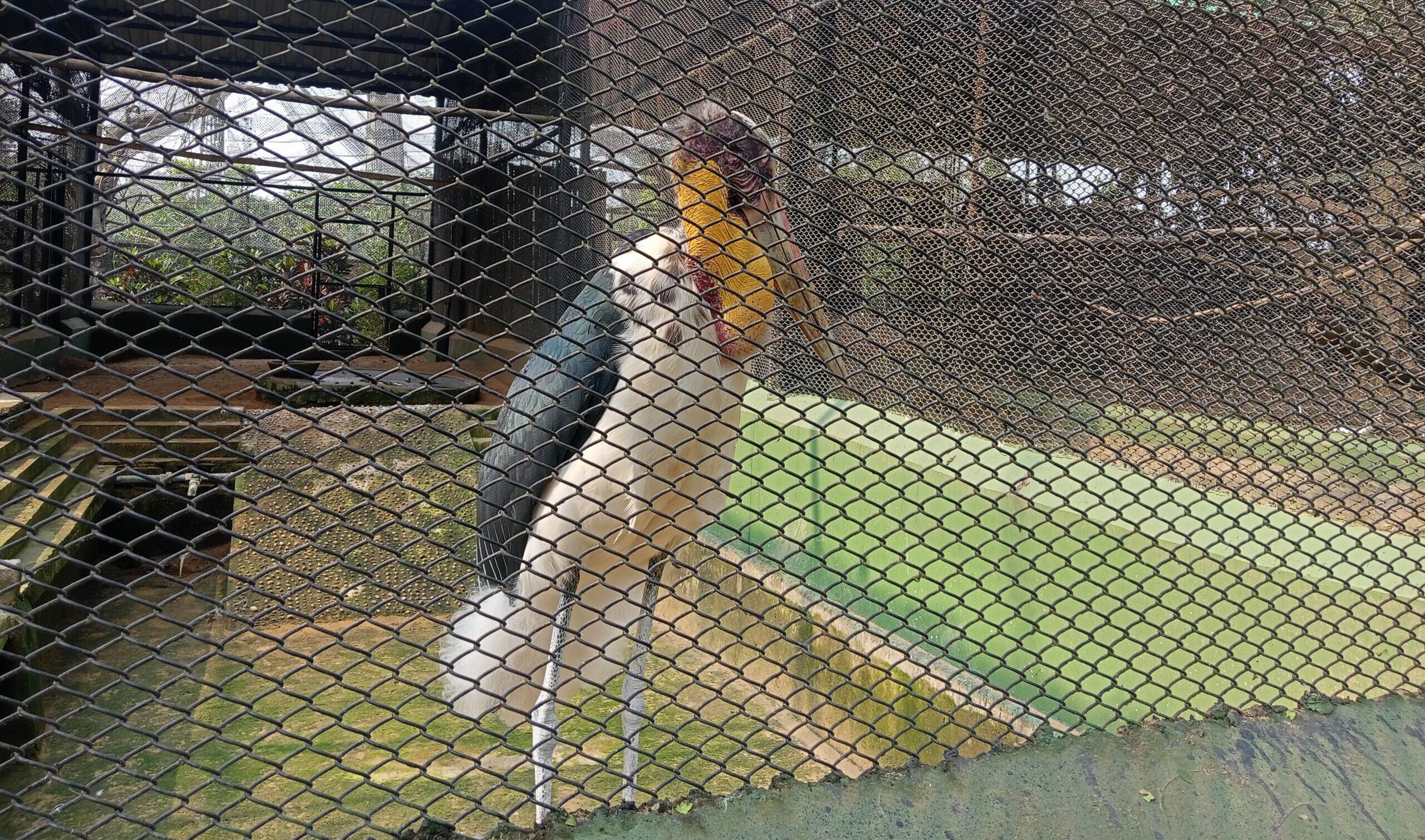 Bird Enclosure at Nandankanan Zoological Park