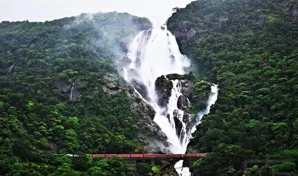 The Majestic Dudhsagar Waterfall in Goa