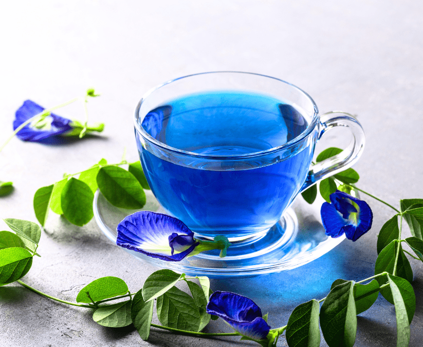Butterfly Pea Tea