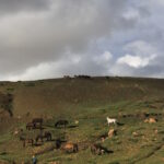 Horses near Langza, Spiti Valley